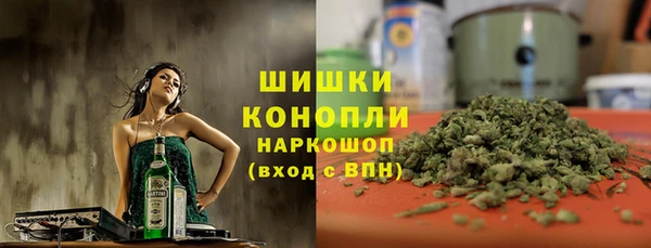 apvp Алзамай