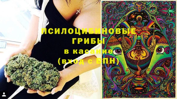 спиды Алексеевка