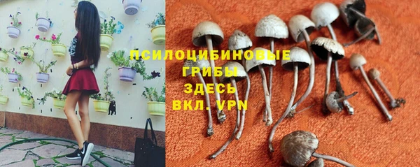 экстази Алексин