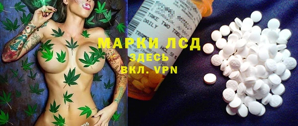 apvp Алзамай