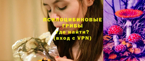 спиды Алексеевка