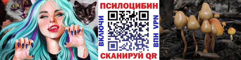 гидра вход мориарти Telegram Псилоцибиновые грибы MAGIC MUSHROOMS где найти Арск